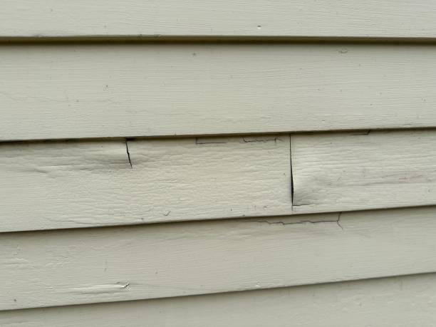 Best Historical Building Siding Restoration  in Greybull, WY